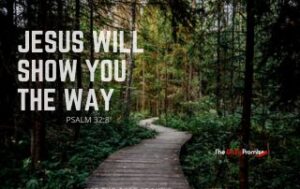 A winding road going into the woods. The heading reads, "Jesus Will Show You the Way." Psalm 32:8