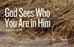 A pile of brown straw with the title "God Sees Who You Are in Him" - Judges