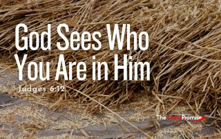 A pile of brown straw with the title "God Sees Who You Are in Him" - Judges