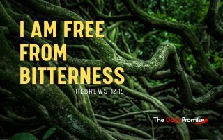 Dark green roots form the background. The title in yellow reads, "I Am Free From Bitterness" Hebrews 12:15