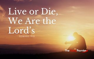 A man sitting in front of a sunset with the words "Live or Die, We are the Lord's". - Romans 14:8