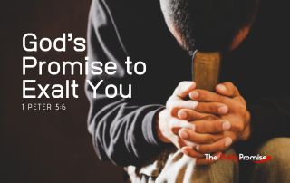 man with his head bowed holding a Bible. "God's Promise to Exalt You" - 1 Peter 5:6