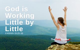 A woman sitting on a mountainside with her hands raised. "God is Working Little by Little" - Exodus 23:29-30