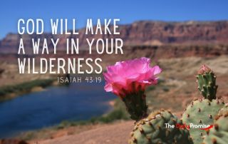 A desert scene with a cactus flower in front. "God Will Make a Way in Your Wilderness"